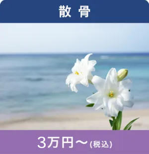 散骨 3万円〜