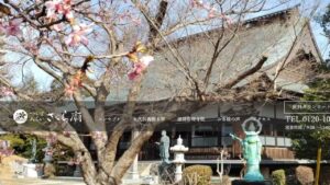 つくばみらいさくら廟