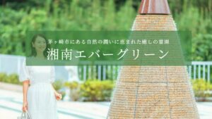 湘南エバーグリーン