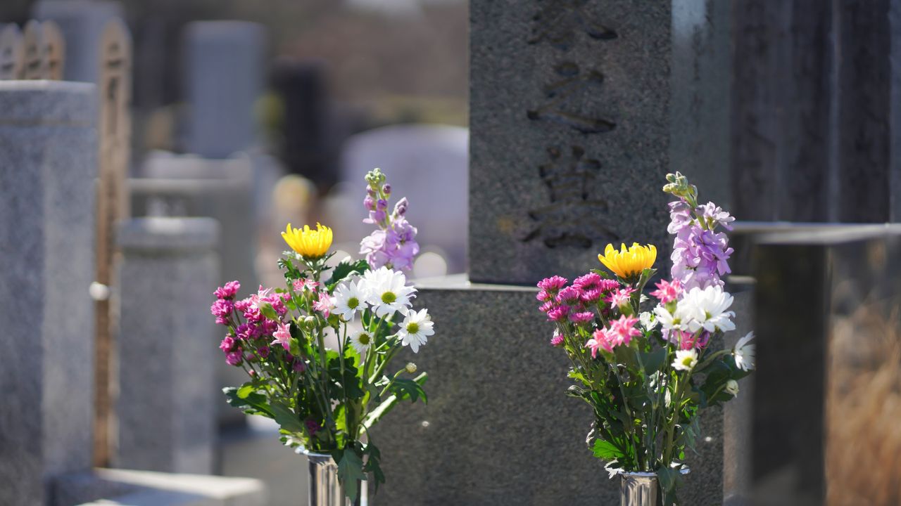 墓じまい後の遺骨の行き先