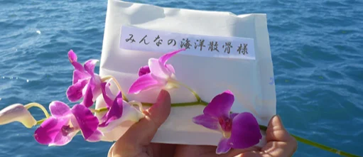 海洋散骨の実施のイメージ