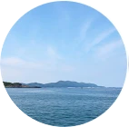 九州エリアのイメージ2